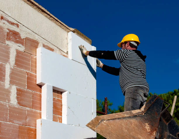 Best Insulation Maintenance and Repair in Johns Creek, GA